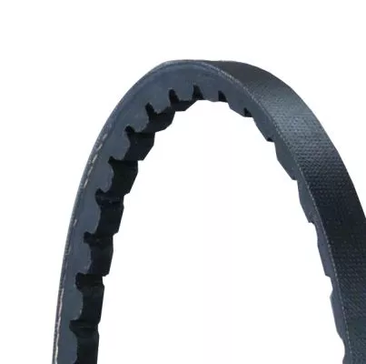 CONTINENTAL CTAM V-Belt (AVX10X1125)