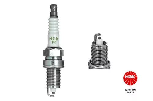NGK Spark Plug (1041)
