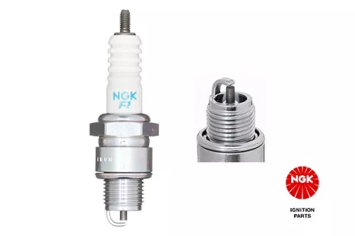 NGK Spark Plug (5539)