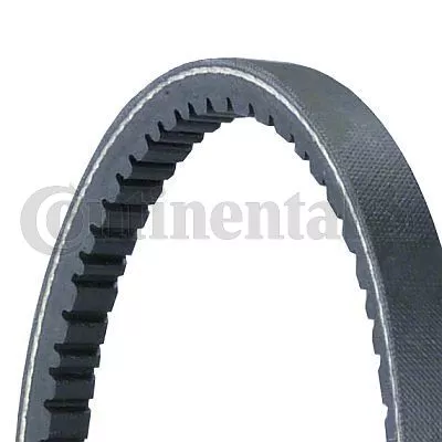 CONTINENTAL CTAM V-Belt (11,9X768Ld)