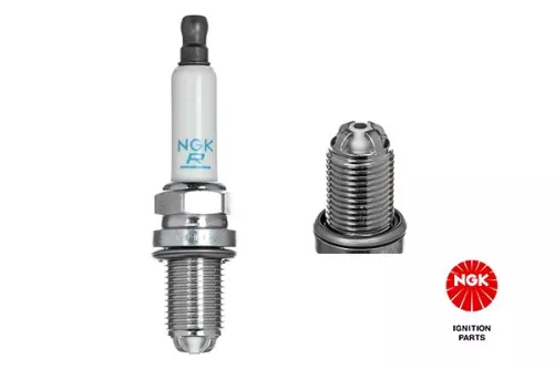 NGK Spark Plug (6002)