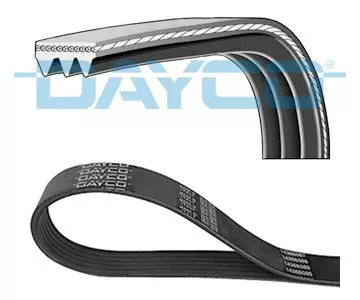 DAYCO V-ribbed Belt (3PK812)