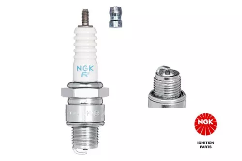 NGK Spark Plug (4522)