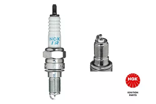 NGK Spark Plug (5766)