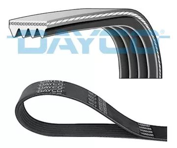 DAYCO V-ribbed Belt (4PK905)