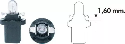 Bulb