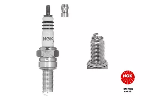 NGK Spark Plug (4218)