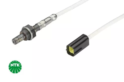 Oxygen Sensor
