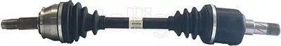 Drive Shaft