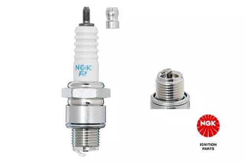 NGK Spark Plug (1157)