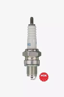 NGK Spark Plug (5123)