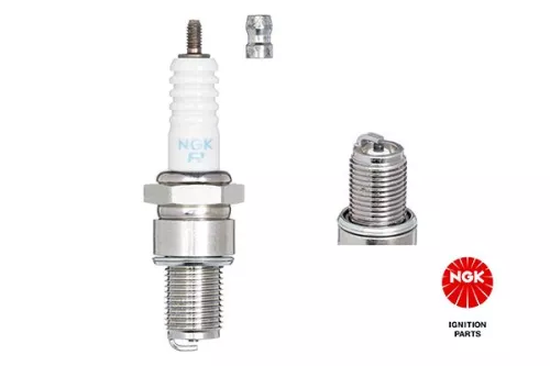NGK Spark Plug (5722)