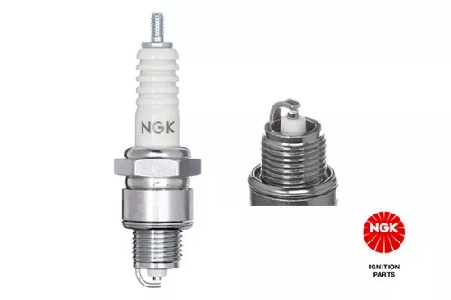NGK Spark Plug (3311)