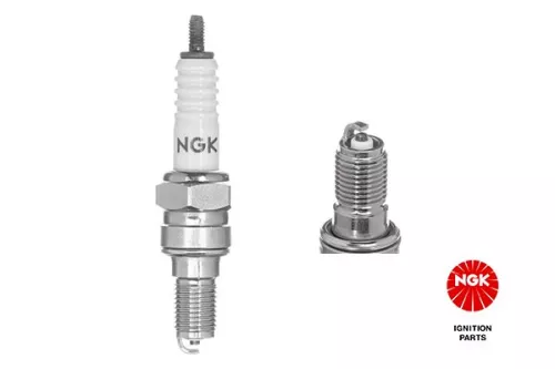 NGK Spark Plug (2142)