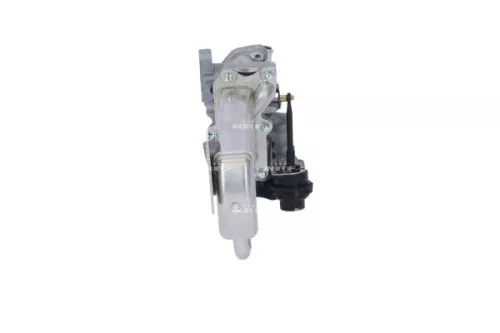 NRF EGR Valve (48209)
