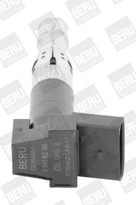 BorgWarner (BERU) Ignition Coil (ZSE065)