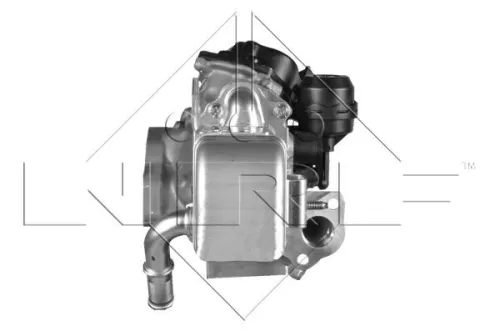NRF EGR Valve (48204)