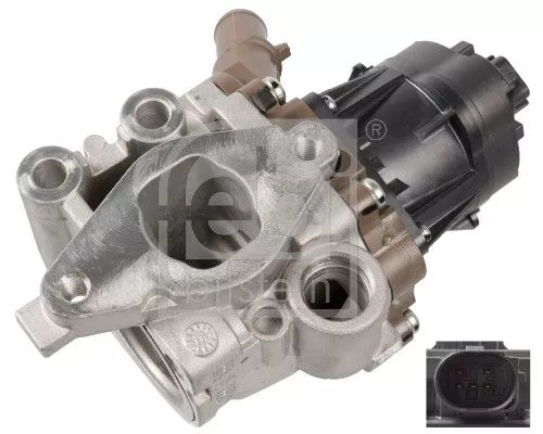 EGR Valve