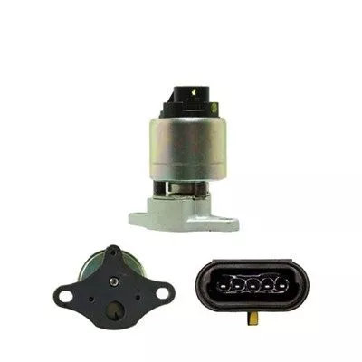 MAGNETI MARELLI EGR Valve (571822112052)