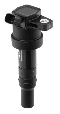 BorgWarner (BERU) Ignition Coil (ZS476)