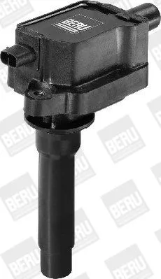 BorgWarner (BERU) Ignition Coil (ZS434)