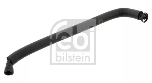 Hose, crankcase ventilation