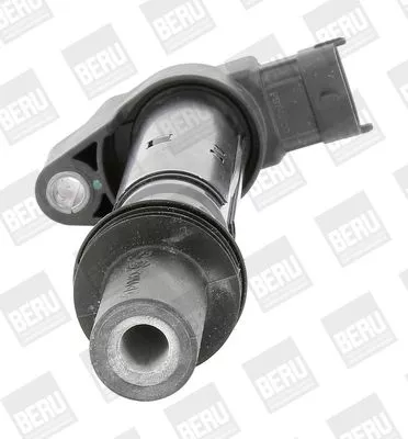 BorgWarner (BERU) Ignition Coil (ZS557)