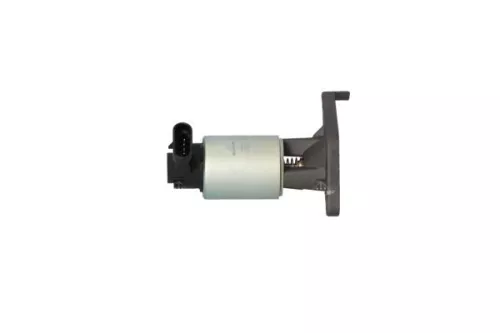 NRF EGR Valve (48343)