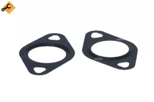 NRF EGR Valve (48396)