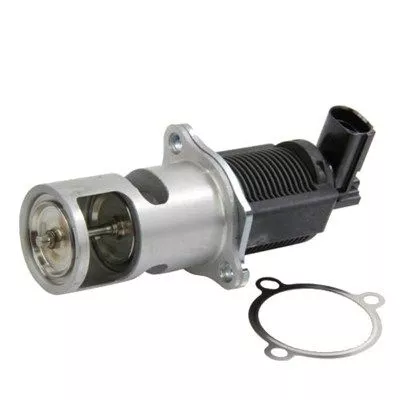 MAGNETI MARELLI EGR Valve (571822112009)