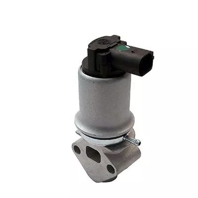MAGNETI MARELLI EGR Valve (571822112018)