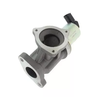 MAGNETI MARELLI EGR Valve (571822112012)