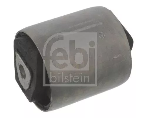 Mounting, control/trailing arm