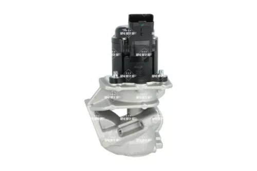 NRF EGR Valve (48320)