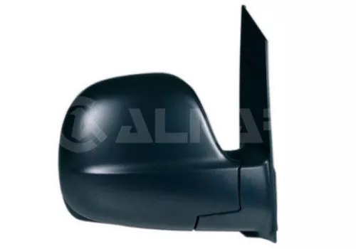 Exterior Mirror