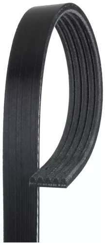 GATES V-ribbed Belt (5PK1303)