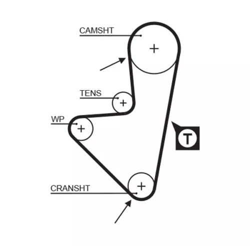 Timing Belt