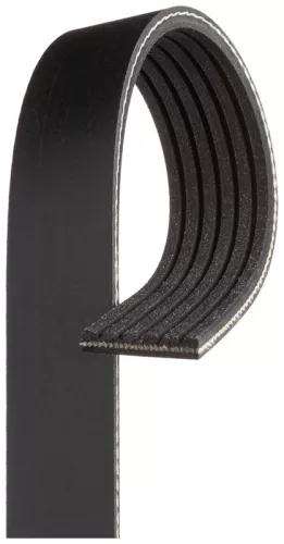 GATES V-ribbed Belt (6PK1445)