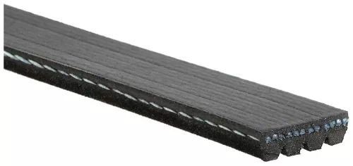 GATES V-ribbed Belt (4PK1313)