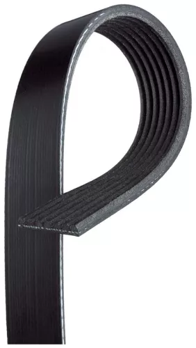 GATES V-ribbed Belt (7PK2443)