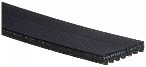 GATES V-ribbed Belt (7PK2443)