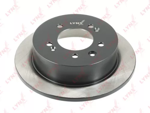 Brake disc, rear (262x10)