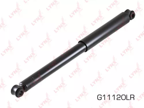 Shock absorber front, gas